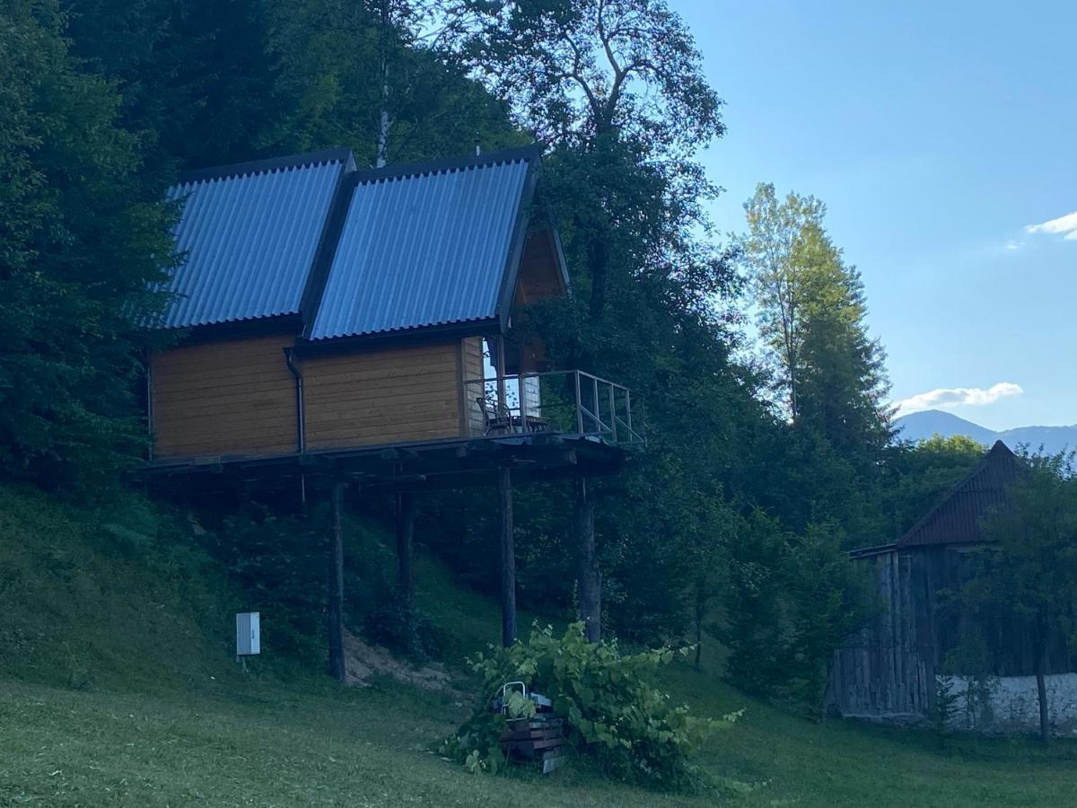 Tara Place - Camp Rabrenovic Mojkovac Buitenkant foto