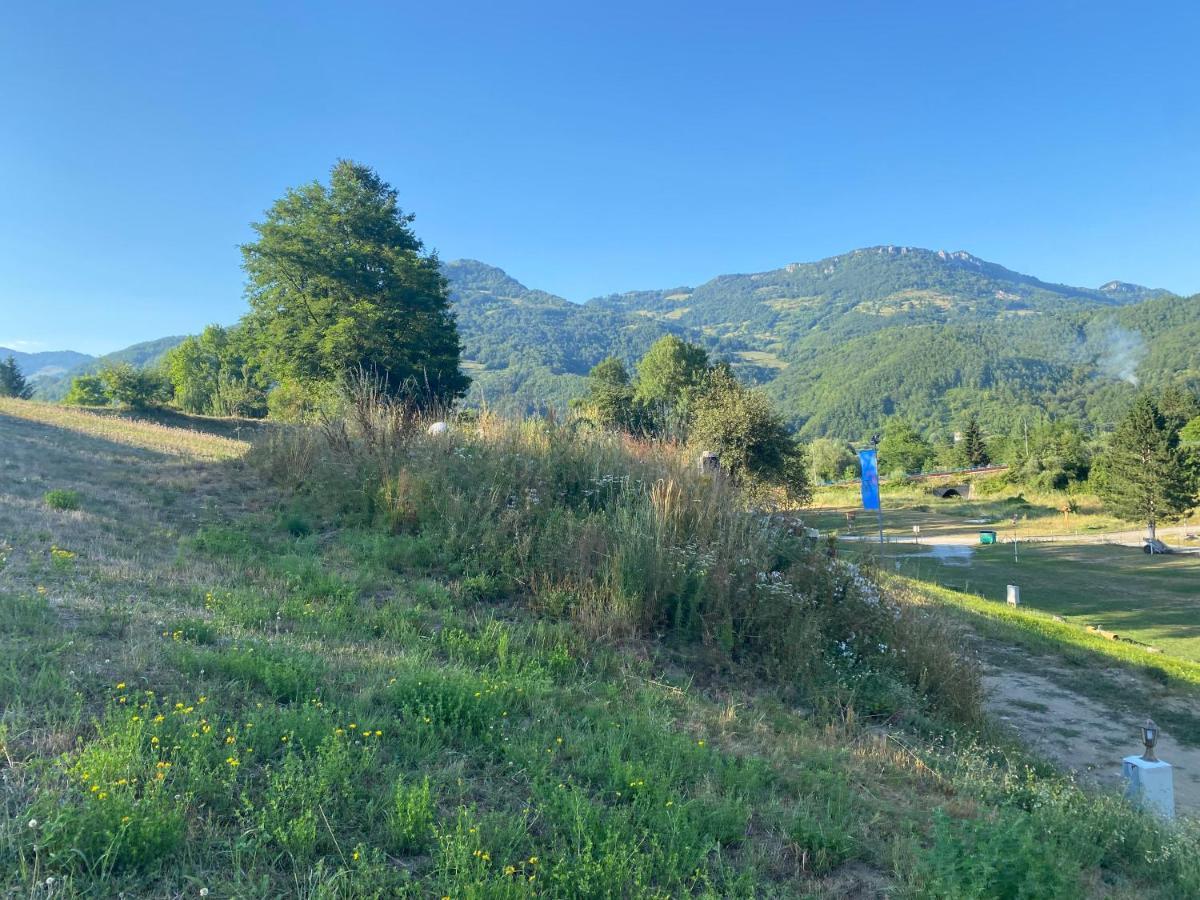 Tara Place - Camp Rabrenovic Mojkovac Buitenkant foto