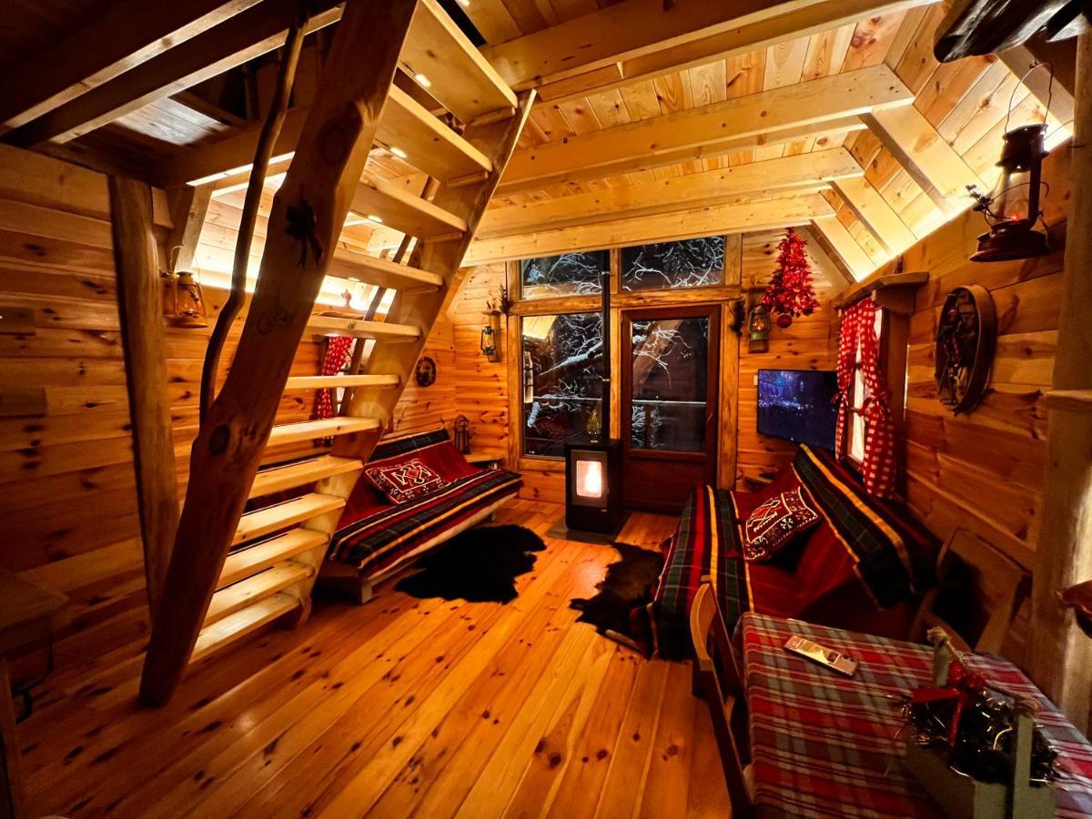 Tara Place - Camp Rabrenovic Mojkovac Buitenkant foto