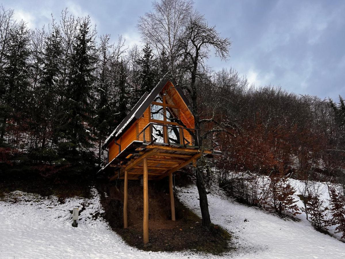 Tara Place - Camp Rabrenovic Mojkovac Buitenkant foto