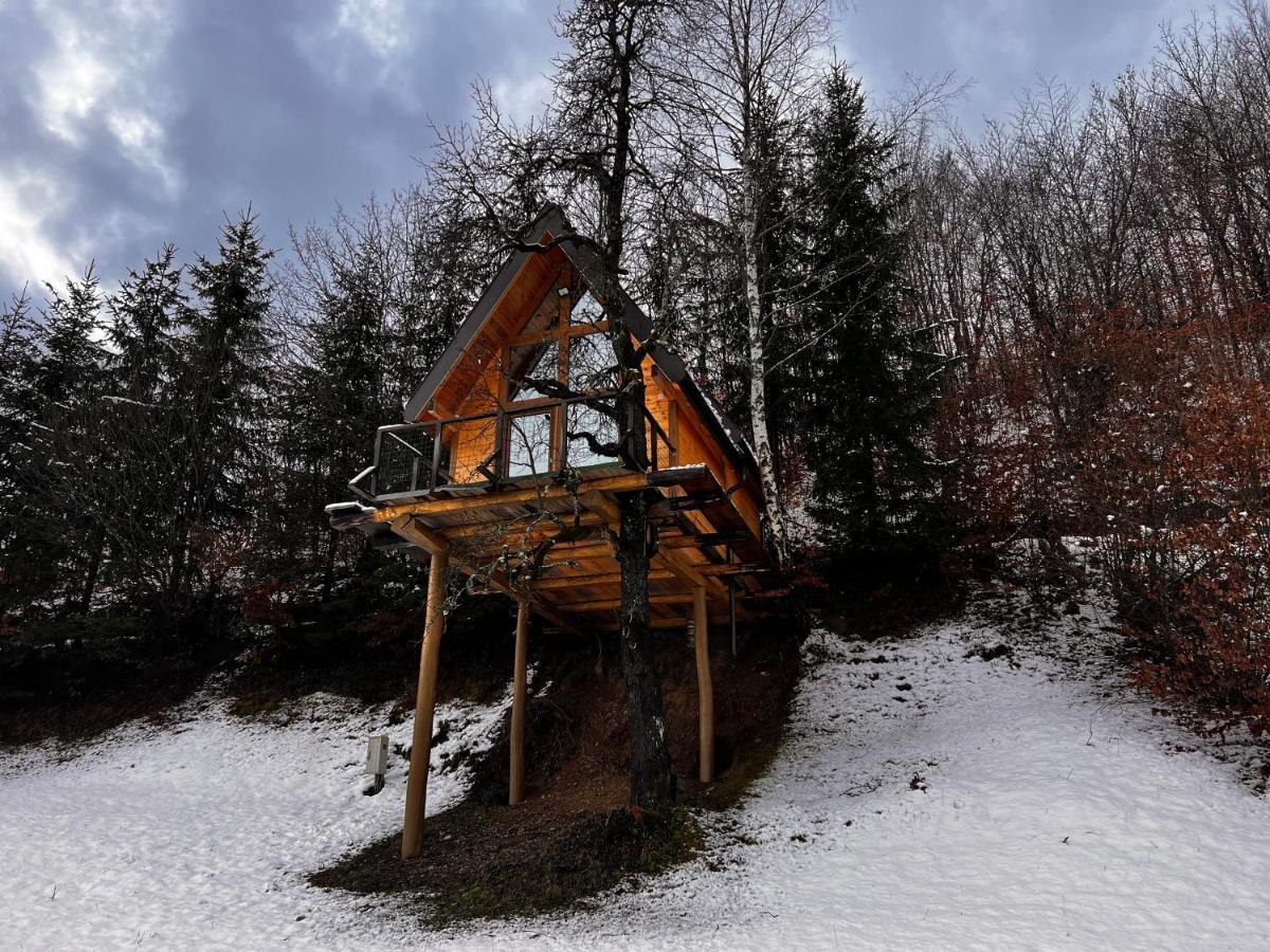 Tara Place - Camp Rabrenovic Mojkovac Buitenkant foto
