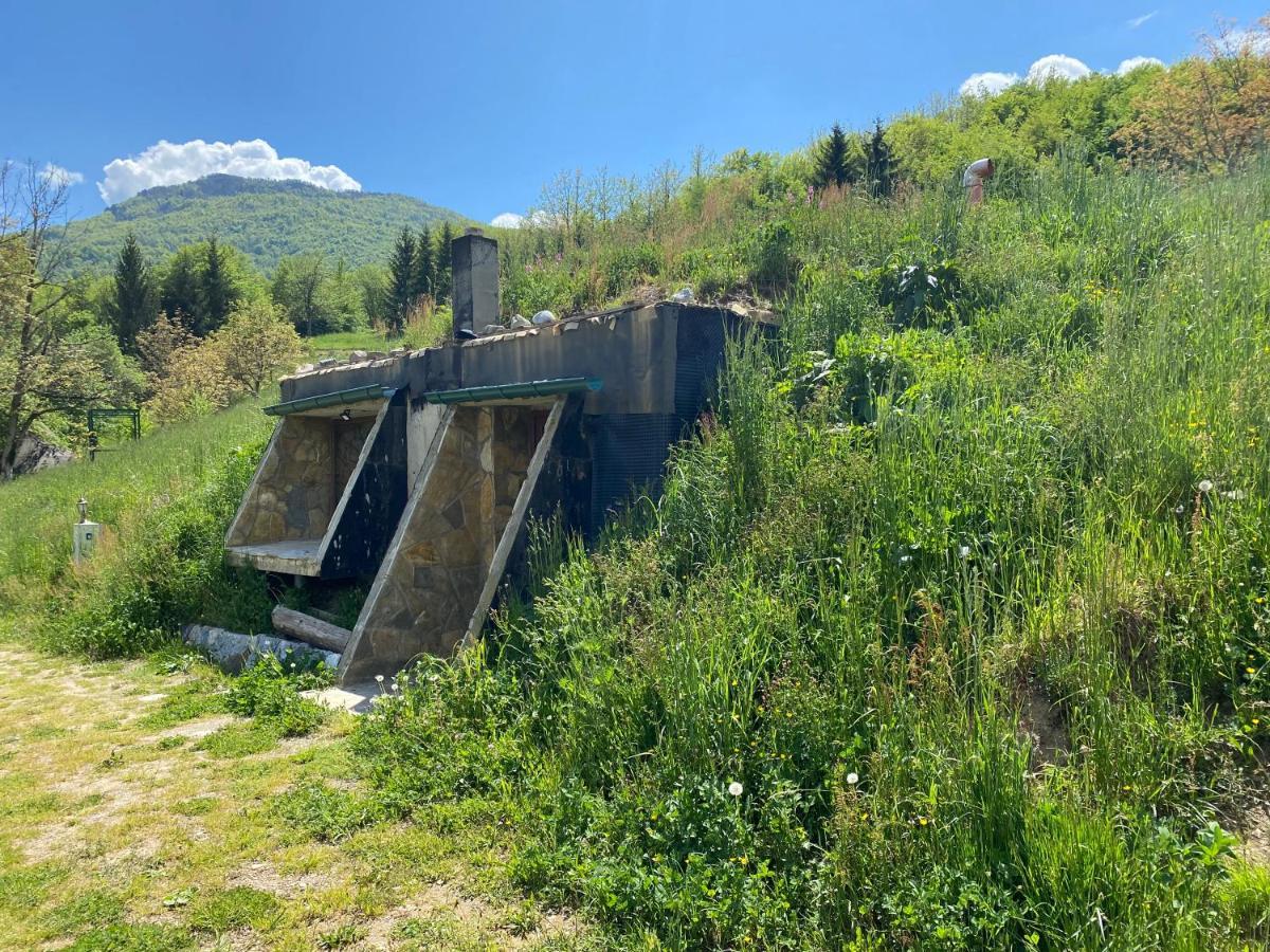 Tara Place - Camp Rabrenovic Mojkovac Buitenkant foto